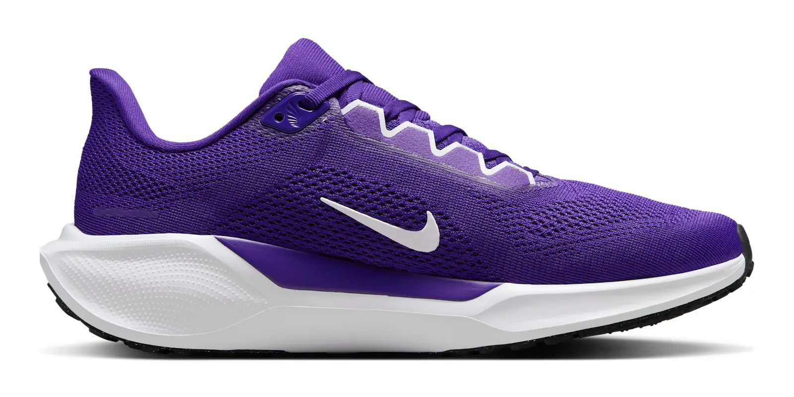 Nike Pegasus 41 in Purple