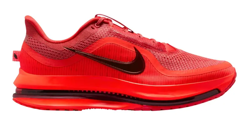Pegasus 41