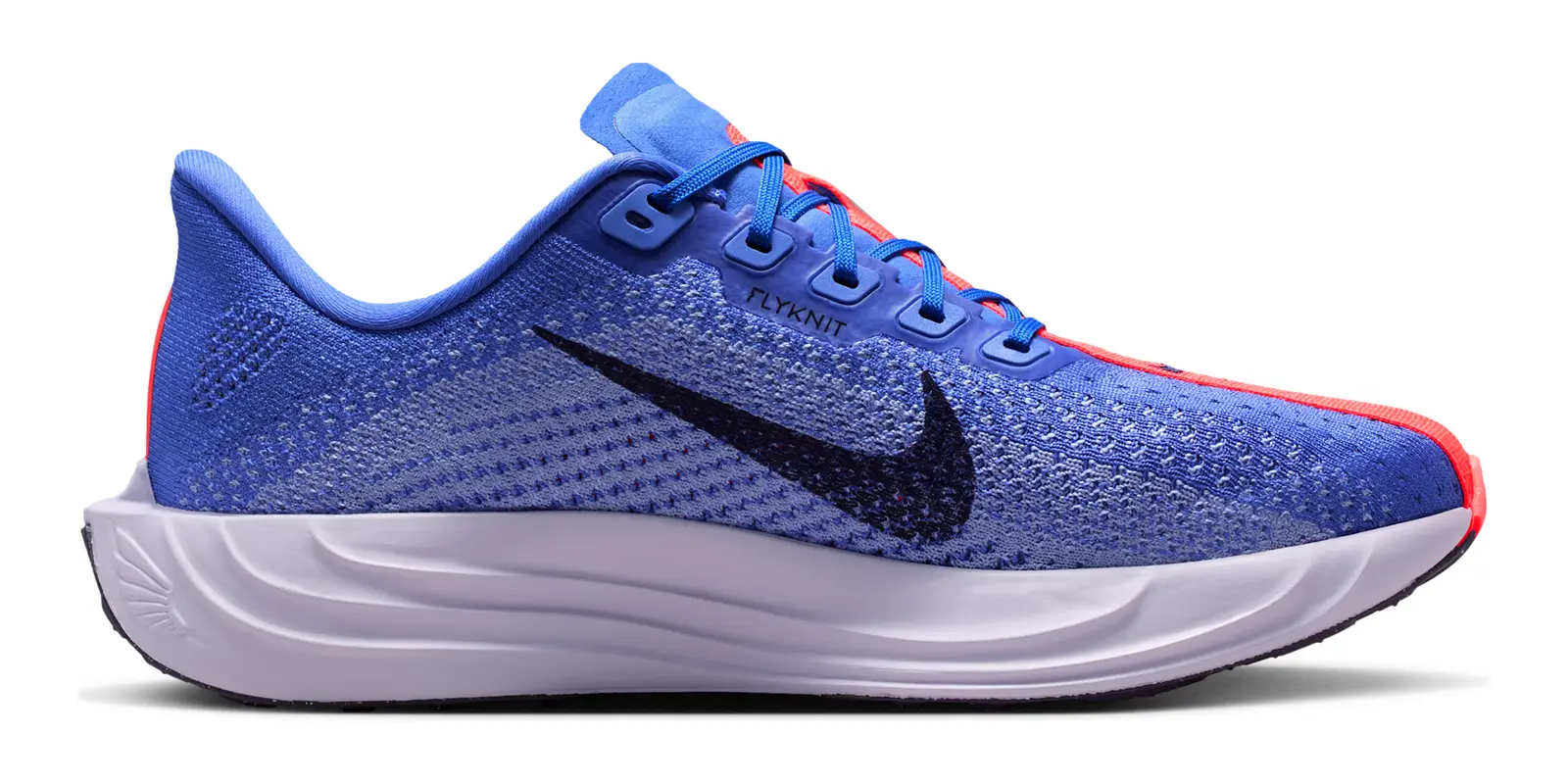 Nike Pegasus Plus in Blue