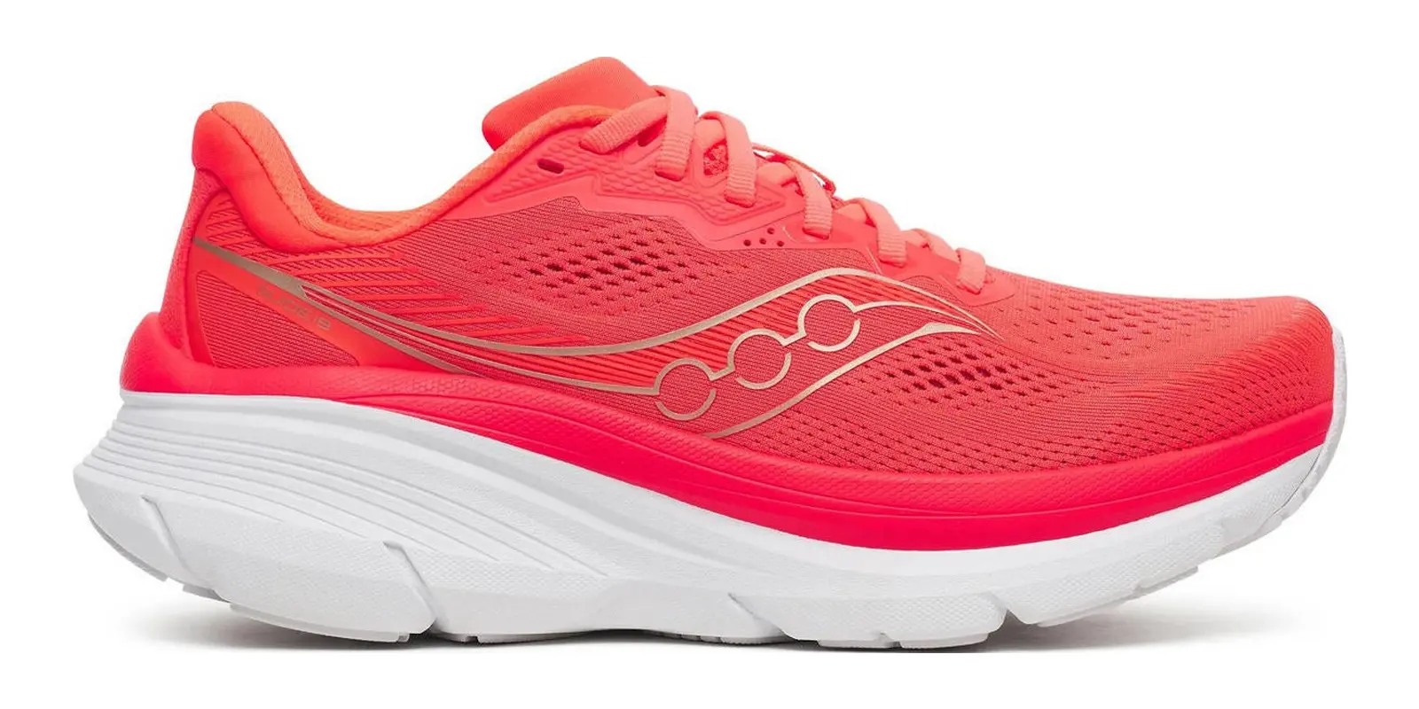 Saucony Guide 19 in Vizired