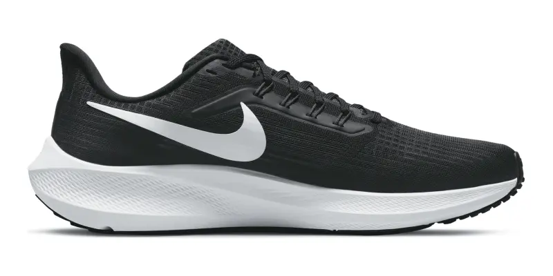 Air Zoom Pegasus 39