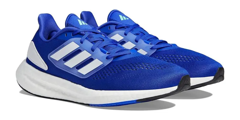 Pureboost 22