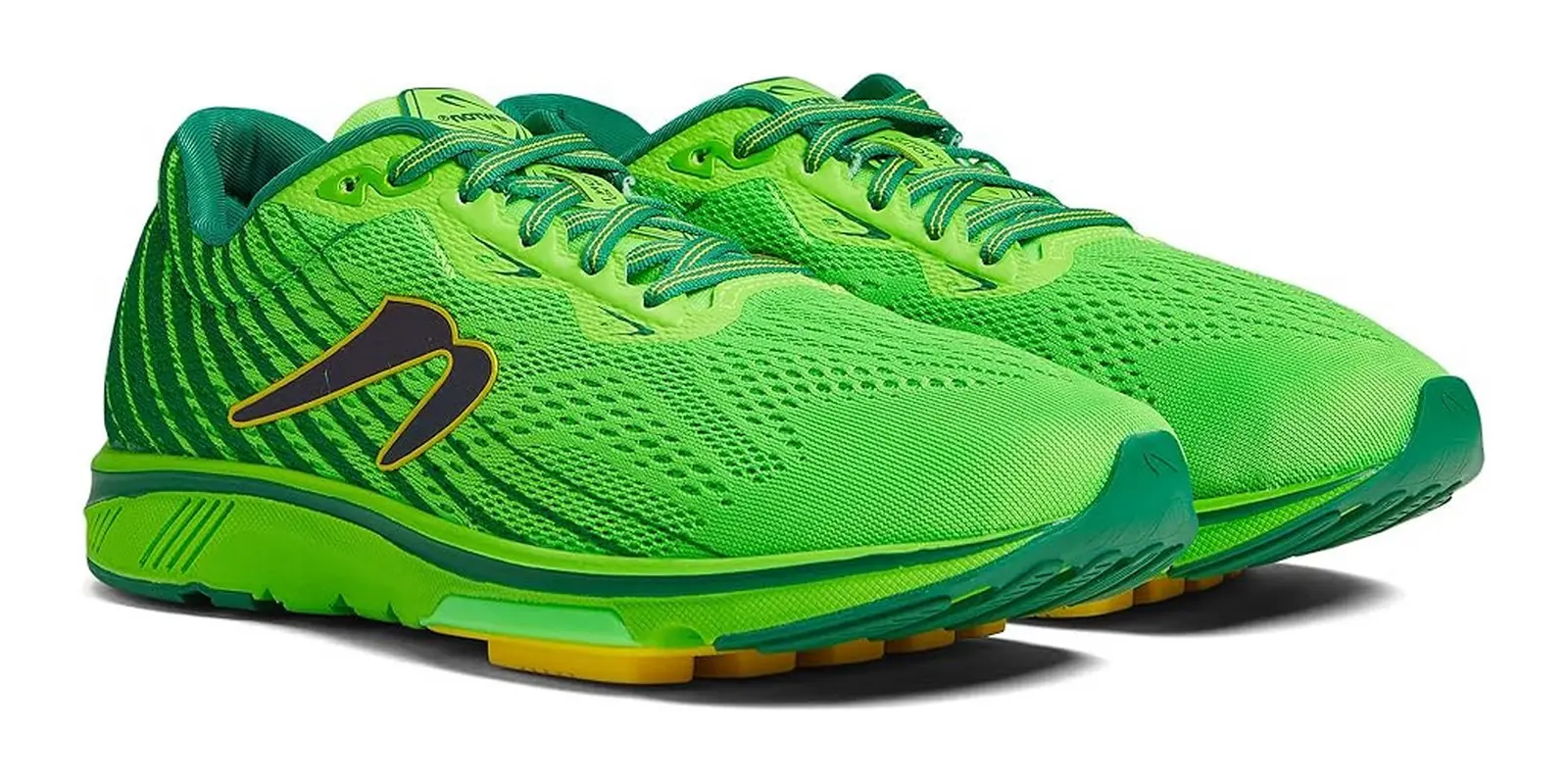Newton Motion 11 in Jungle
