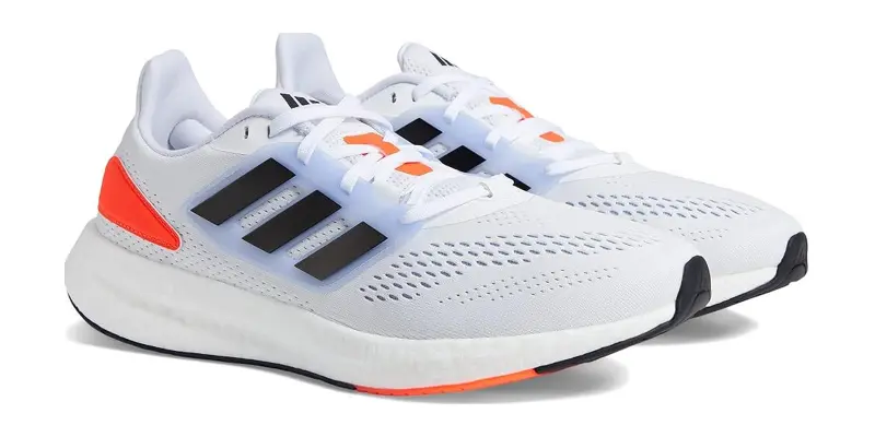 Pureboost 22