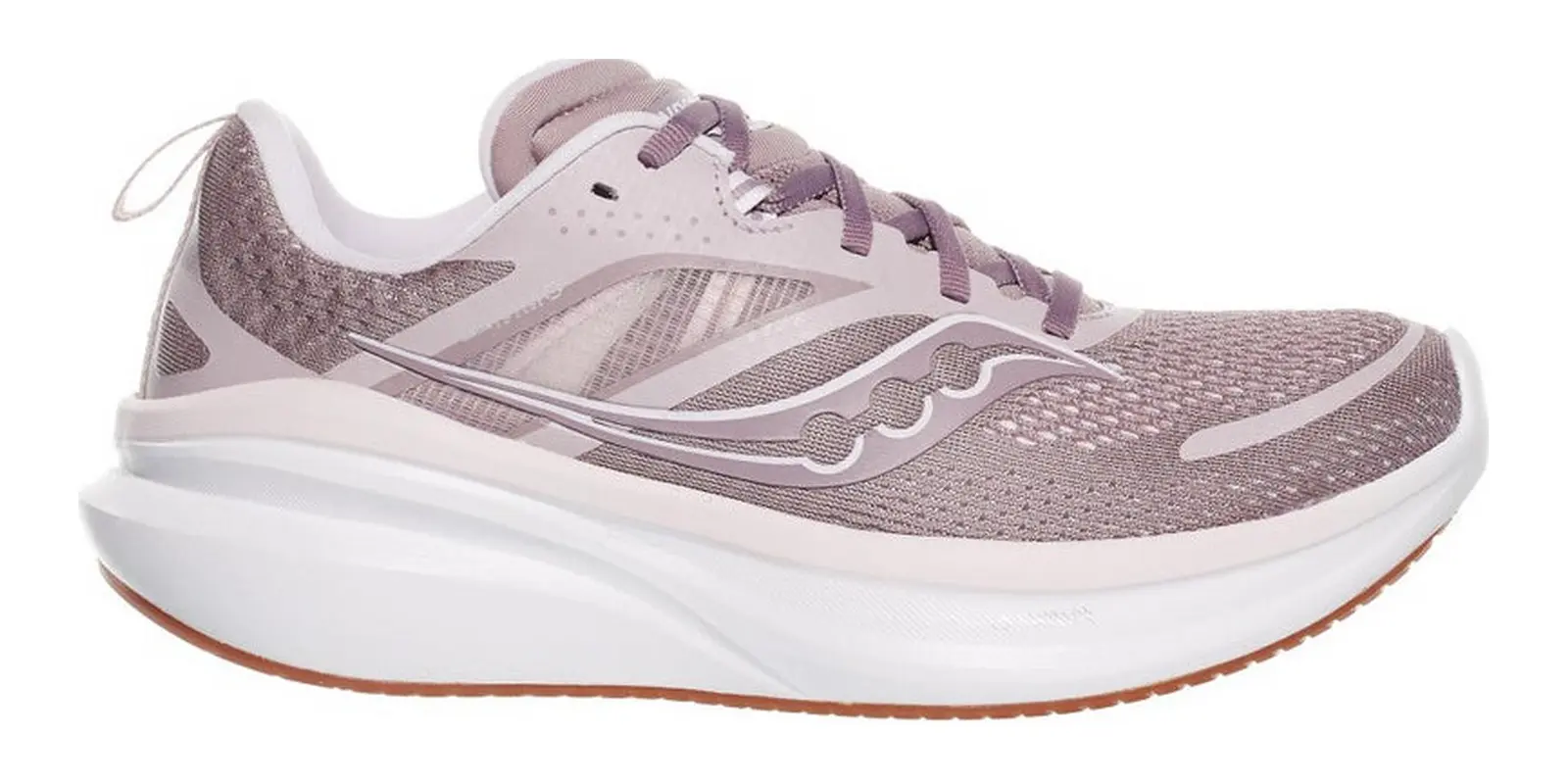 Saucony Omni 22 in Woodrose