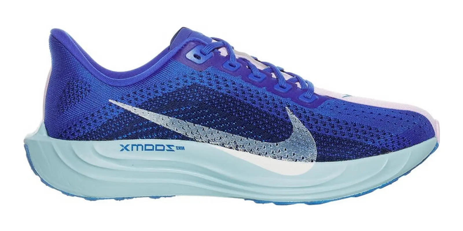 Nike Pegasus Plus in Cm