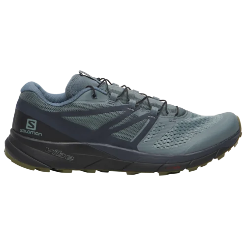 Salomon Sense Ride 2 in Stormy