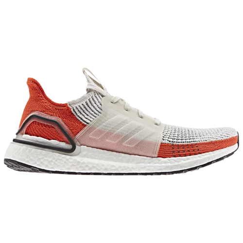 adidas Ultraboost 19 in Raw
