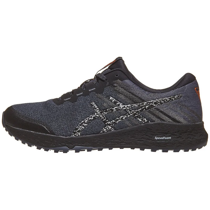 ASICS Alpine XT 2 in Carrier