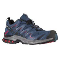 Salomon XA Pro 3D in Slate
