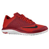 Nike FS Lite Run 2 in Gym