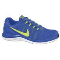 Nike Dual Fusion Run 3