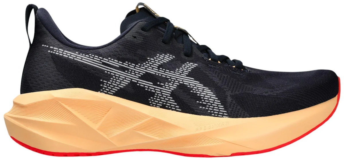 ASICS Novablast in Blue / Purple