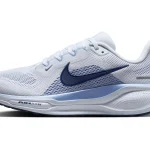 Pegasus 41