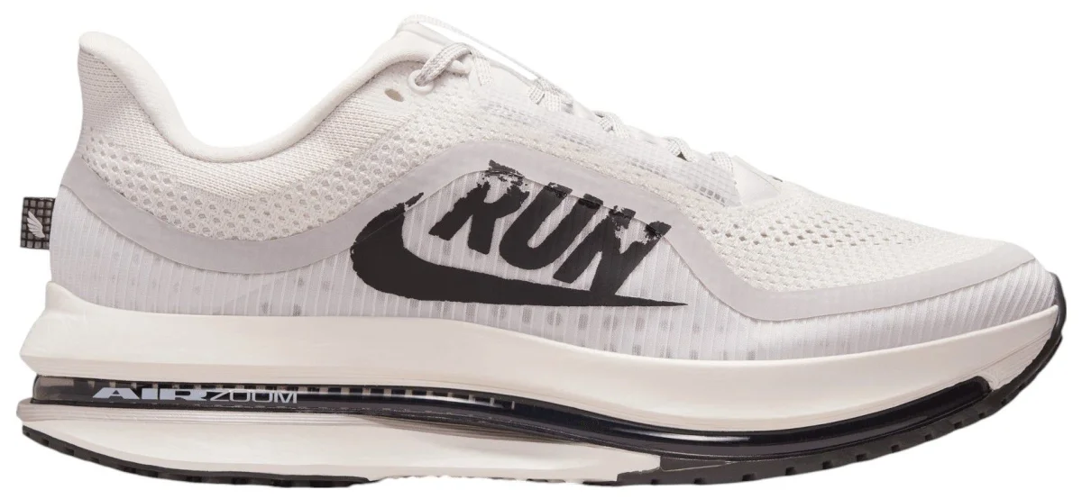 Nike Pegasus 41 in Platinum / Black / Cllg Grey