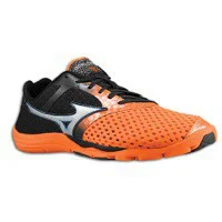 Wave Evo Cursoris