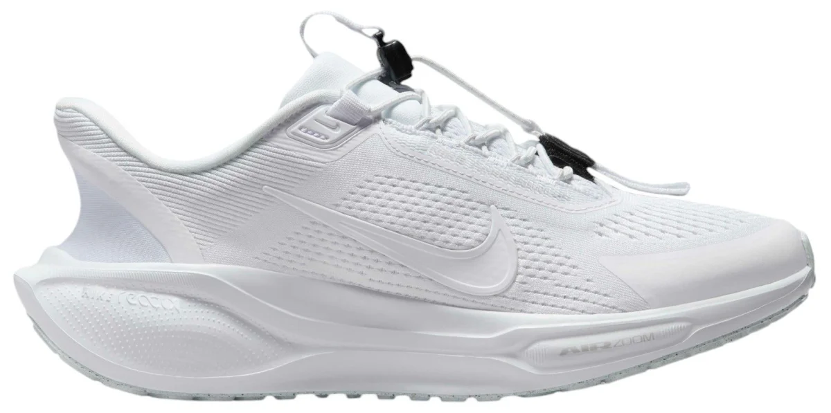 Nike Pegasus 41 in White / Grey
