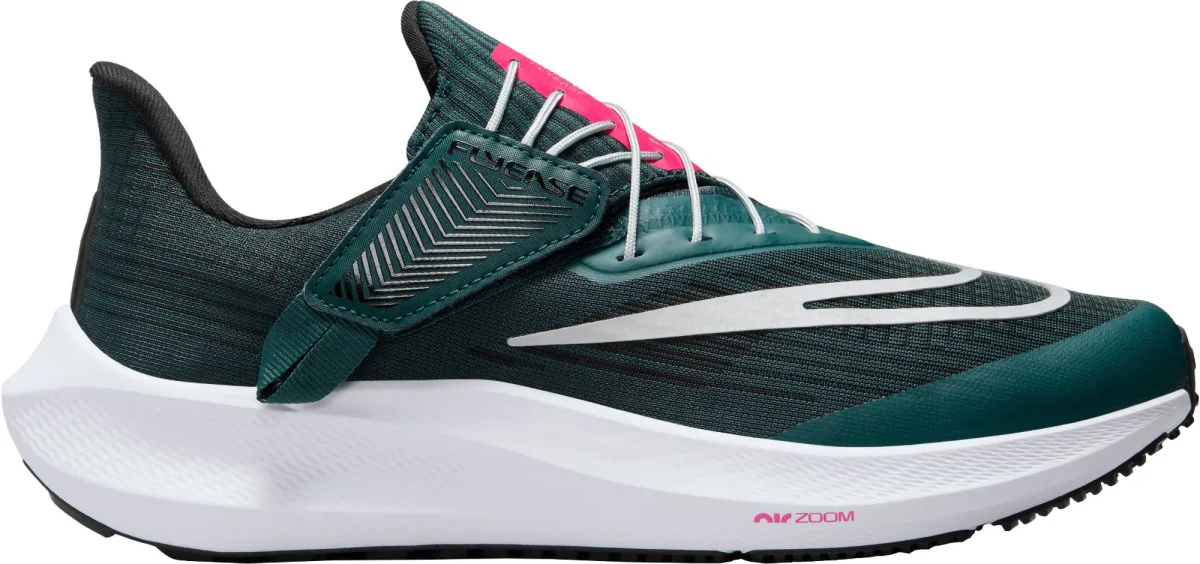 Air Zoom Pegasus 39