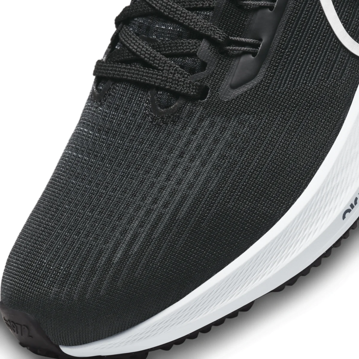 Nike Pegasus 39 in Black