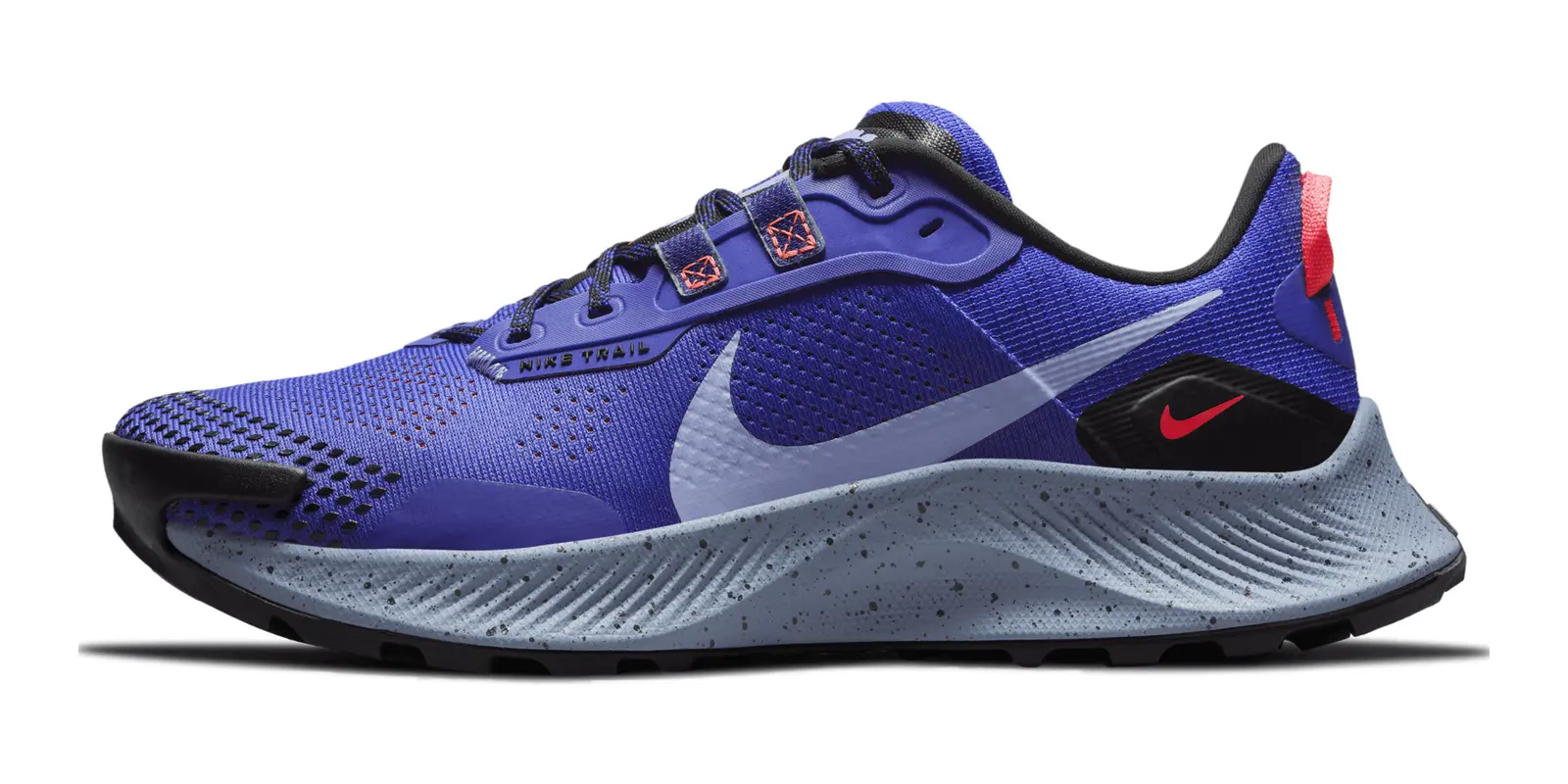 Nike Pegasus Trail 3 in Blue