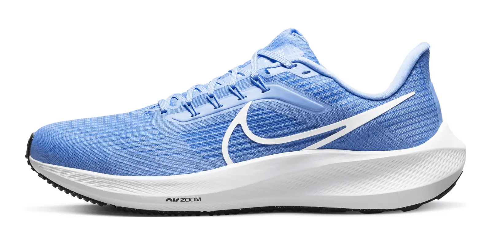 Nike Air Zoom Pegasus 39 in Blue