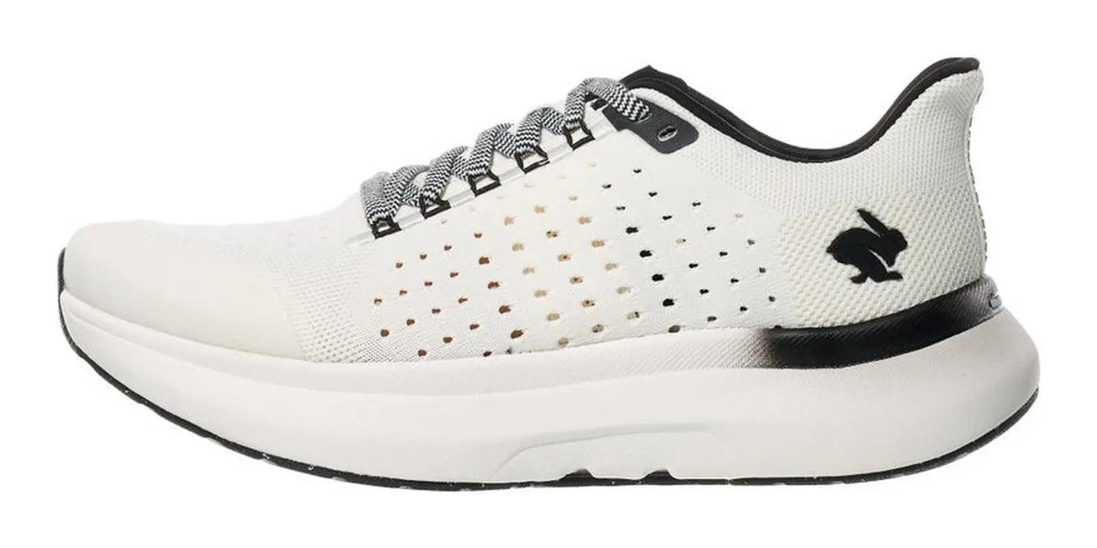 rabbit Dream Chaser 2.0 in White