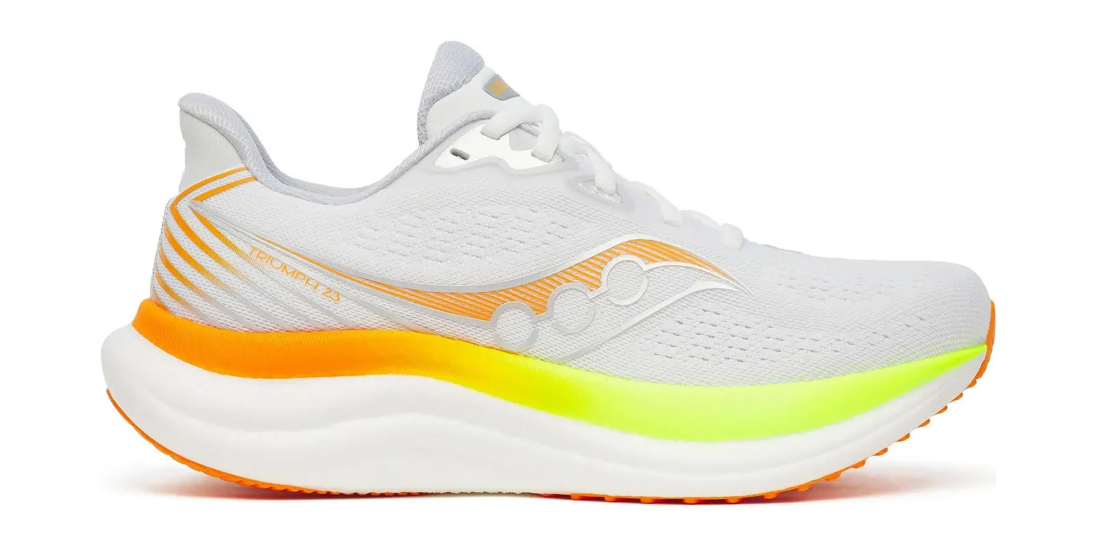 Saucony Triumph 23 in Winter Sunrise